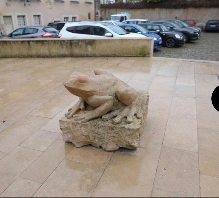 "La Grenouille" Centre Historique - Les Terres Du Roy Villa Avallon Kültér fotó